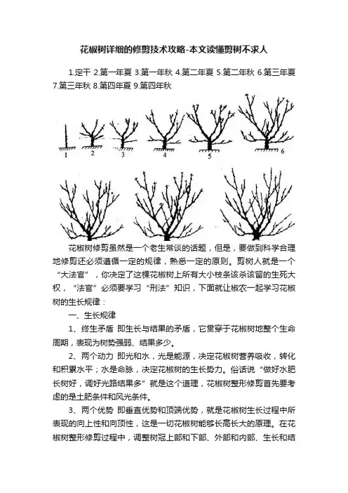 花椒树详细的修剪技术攻略-本文读懂剪树不求人