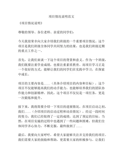 项目情况说明范文