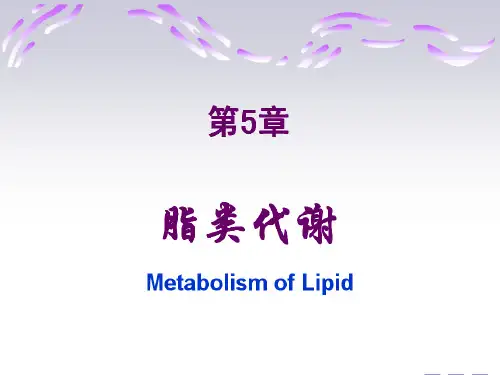 第五章脂类代谢
