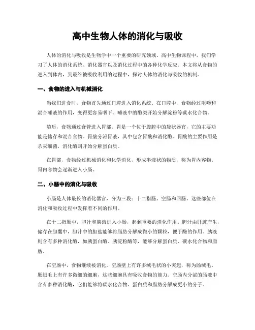 高中生物人体的消化与吸收