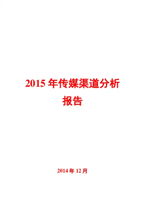 2015年传媒渠道分析报告