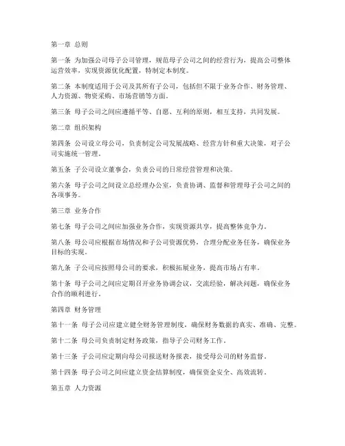 某公司母子公司管理制度