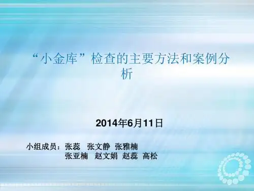 小金库检查方法和案例分析ppt课件