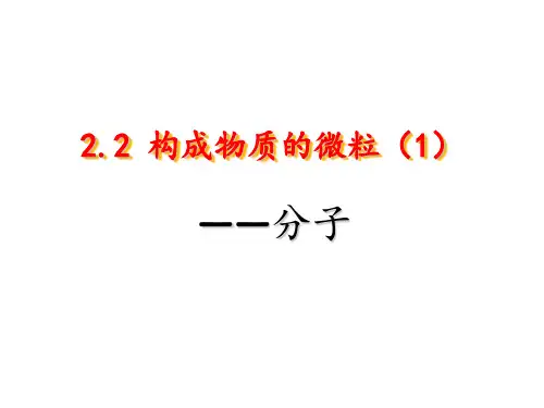 科粤版九年级化学上册第2章第2节构成物质的微粒(Ⅰ)——分子(共24张PPT)