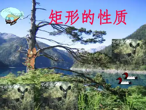 矩形的性质1 PPT课件
