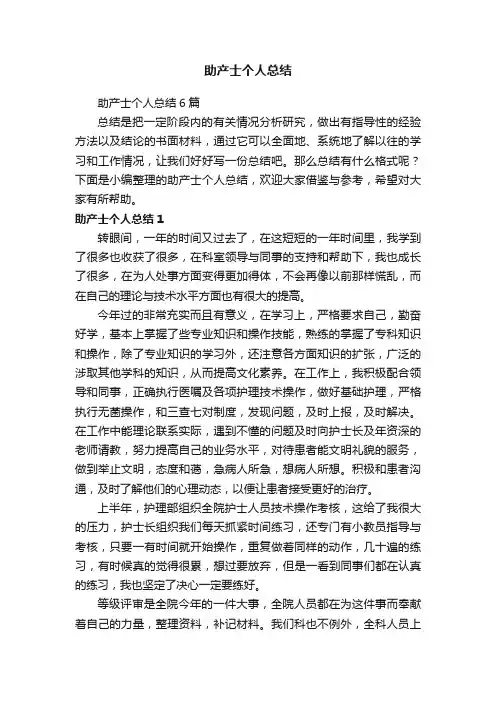 助产士个人总结