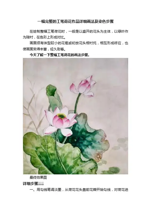 一幅完整的工笔荷花作品详细画法及染色步骤