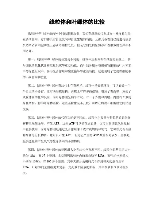 线粒体和叶绿体的比较