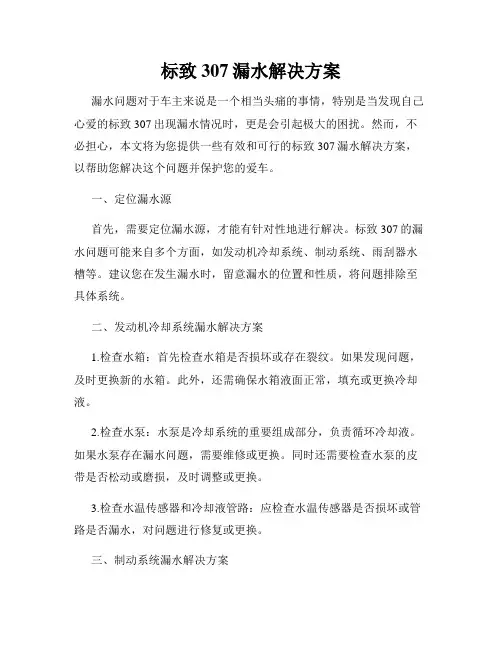 标致307漏水解决方案