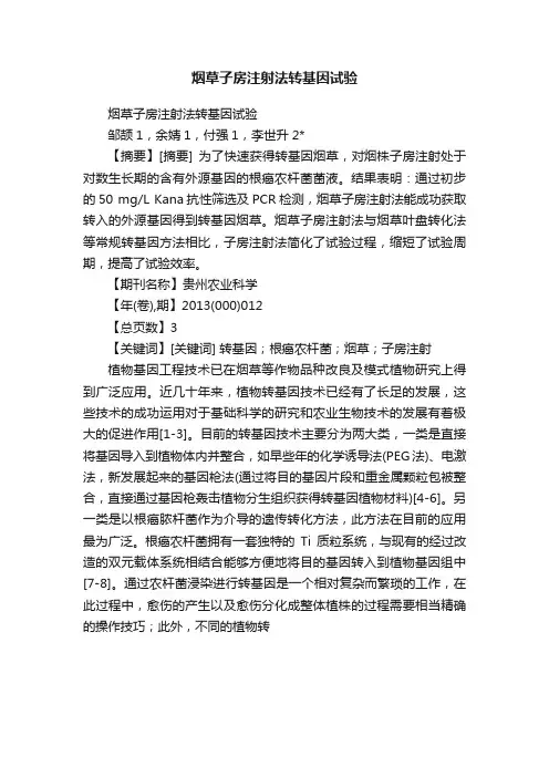 烟草子房注射法转基因试验