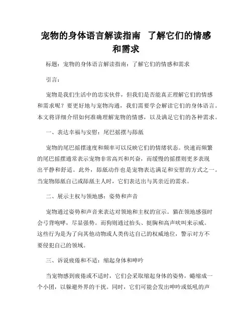 宠物的身体语言解读指南   了解它们的情感和需求