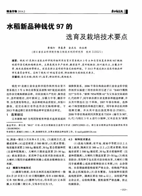 水稻新品种钱优97的选育及栽培技术要点