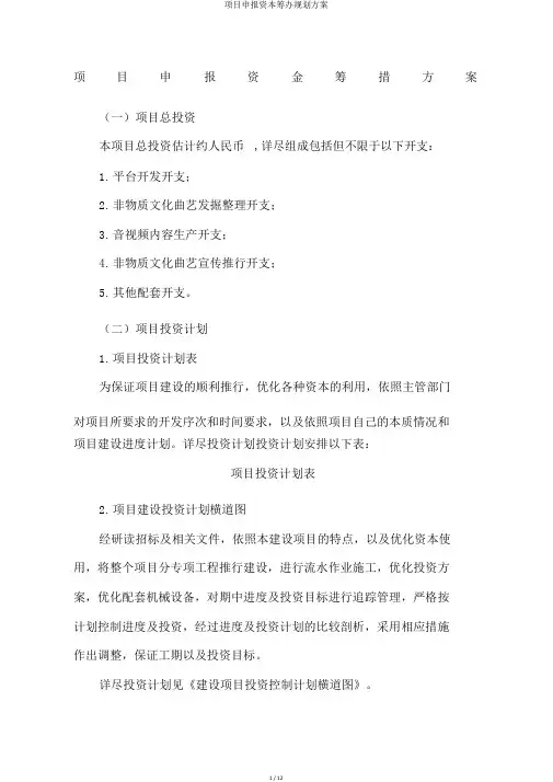项目申报资金筹措规划方案