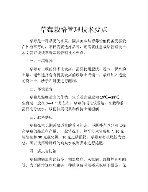 草莓栽培管理技术要点