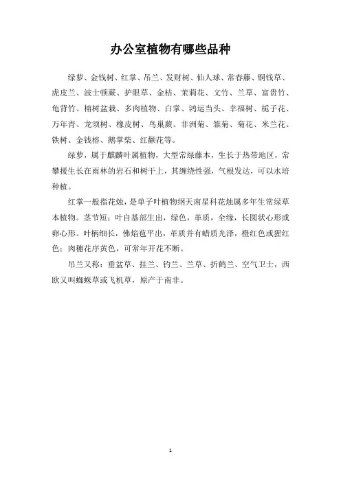 办公室植物有哪些品种