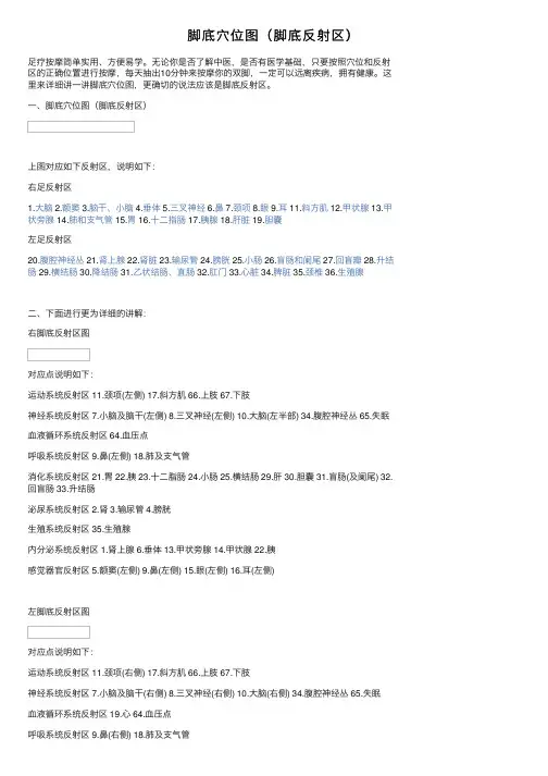 脚底穴位图（脚底反射区）