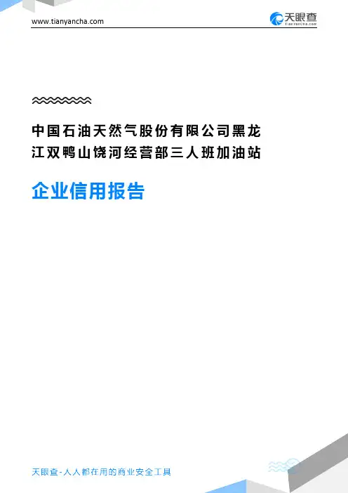 中国石油天然气股份有限公司黑龙江双鸭山饶河经营部三人班加油站企业信用报告-天眼查