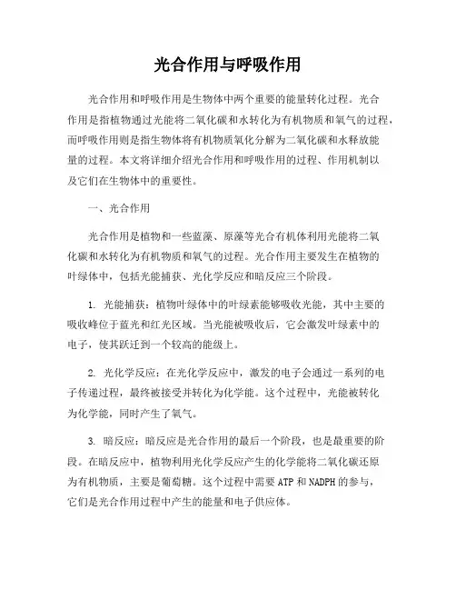 光合作用与呼吸作用