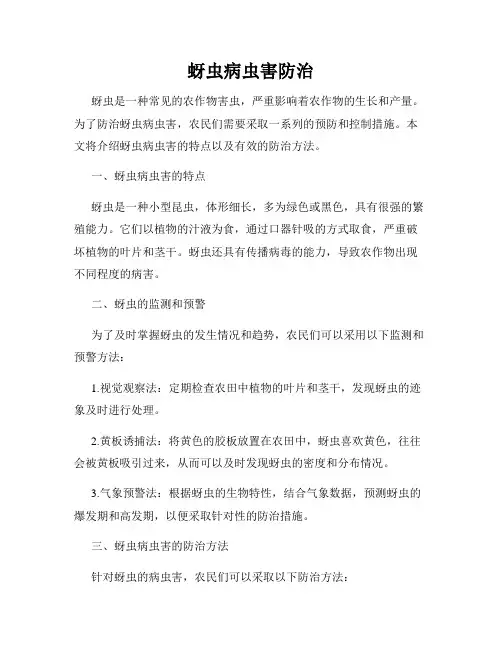 蚜虫病虫害防治