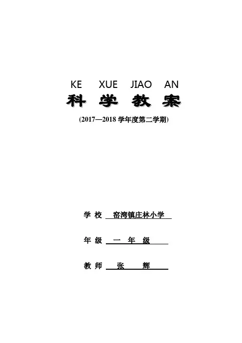 教科版一年级科学下册全册教案