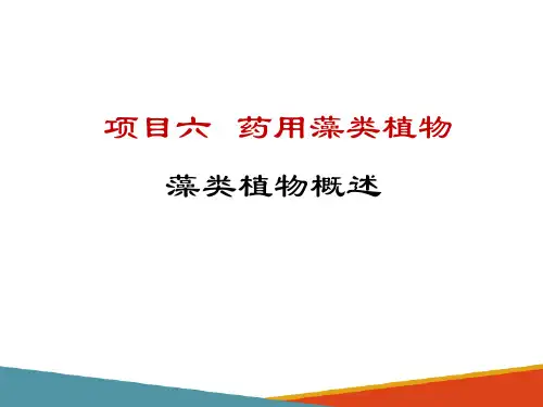 藻类植物—藻类植物的概述(药用植物学课件)