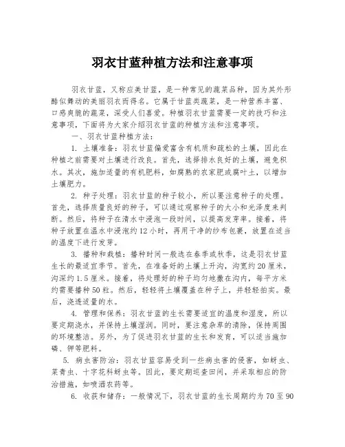 羽衣甘蓝种植方法和注意事项