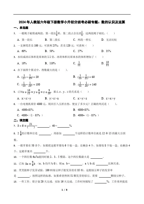 2024年人教版六年级下册数学小升初分班考必刷专题：数的认识及运算