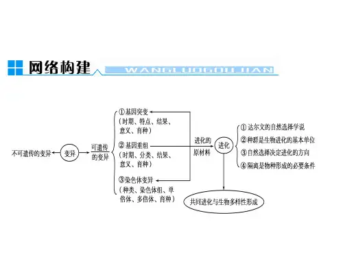 基因突变基因重组染色体变异PPT课件