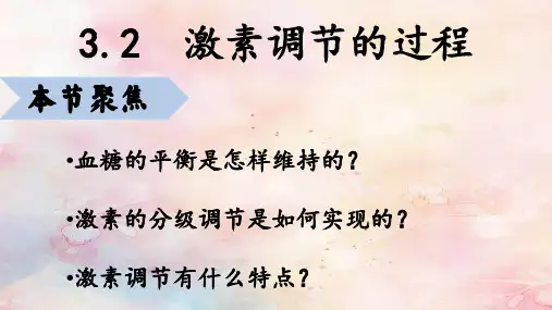 人教版2019高中生物选择性必修1 激素调节的过程