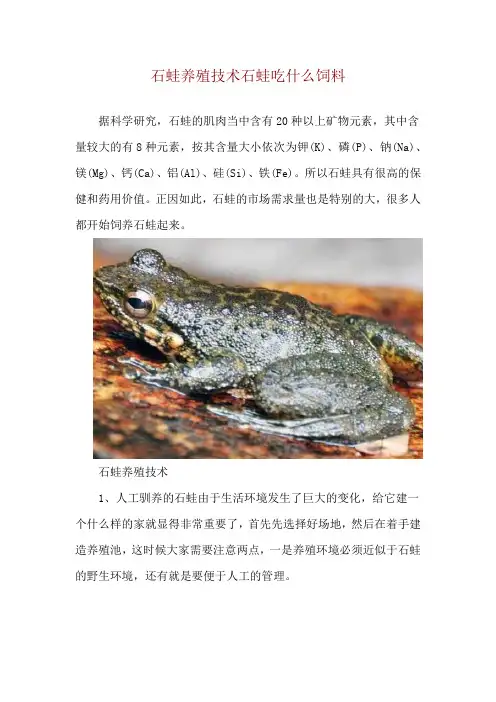 石蛙养殖技术 石蛙吃什么饲料