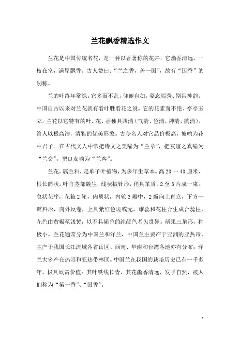 兰花飘香精选作文