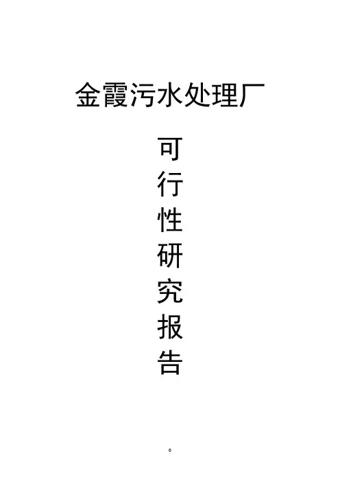 金霞污水处理厂可行性研究报告