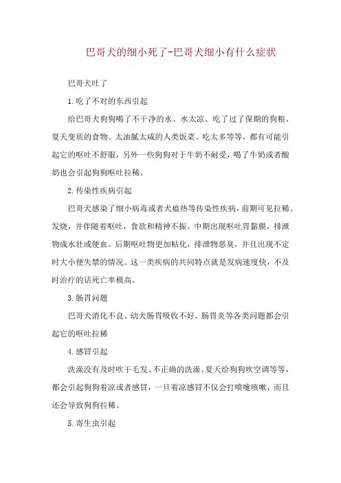 巴哥犬的细小死了-巴哥犬细小有什么症状