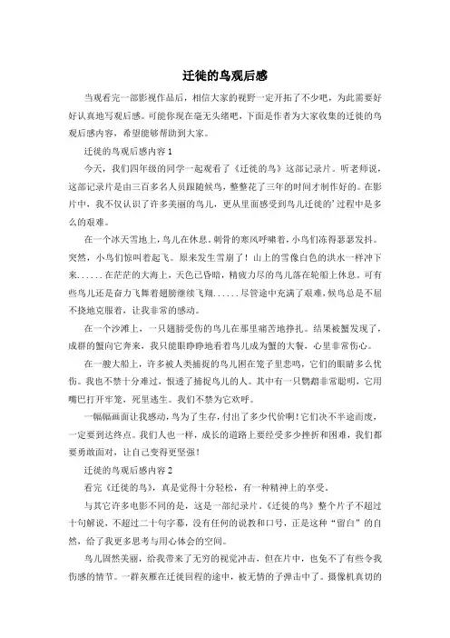 迁徙的鸟观后感