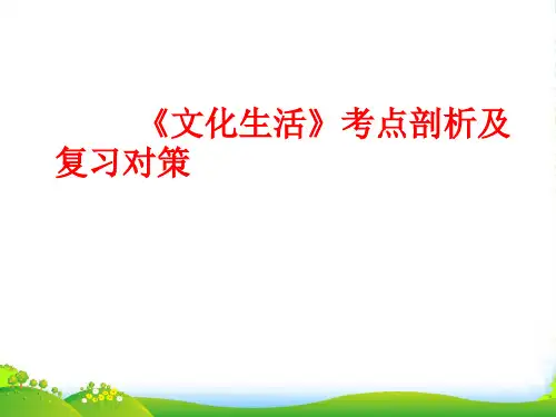 高中政治 《文化生活》考点剖析及复习对策课件 新人教版