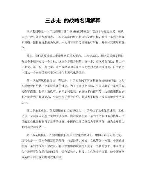 三步走 的战略名词解释