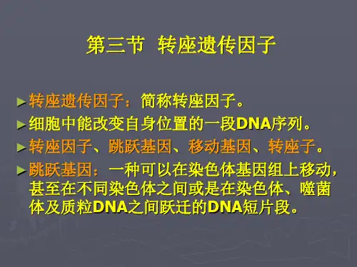 转座因子遗传课件