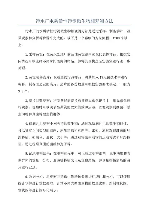污水厂水质活性污泥微生物相观测方法