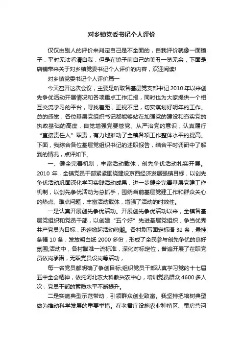 对乡镇党委书记个人评价