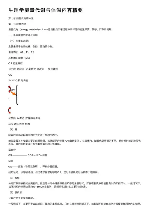 生理学能量代谢与体温内容精要