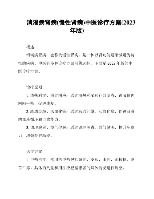 消渴病肾病(慢性肾病)中医诊疗方案(2023年版)