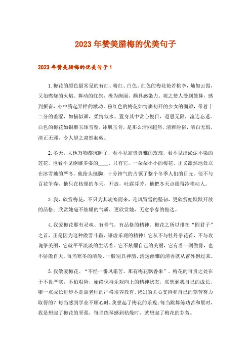 2023年赞美腊梅的优美句子