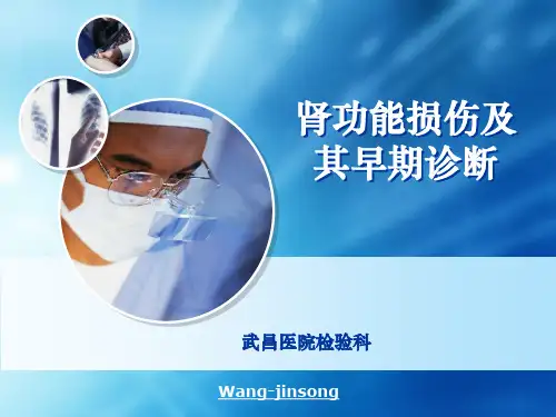 肾损伤早期诊断ppt课件