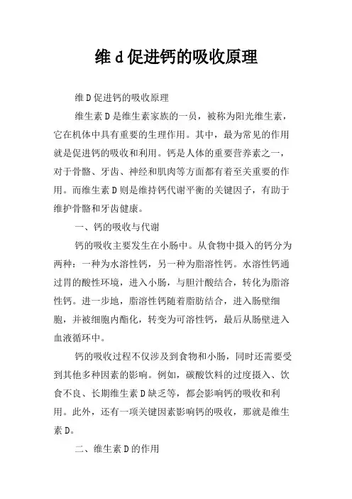 维d促进钙的吸收原理