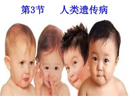 高一生物人类遗传病