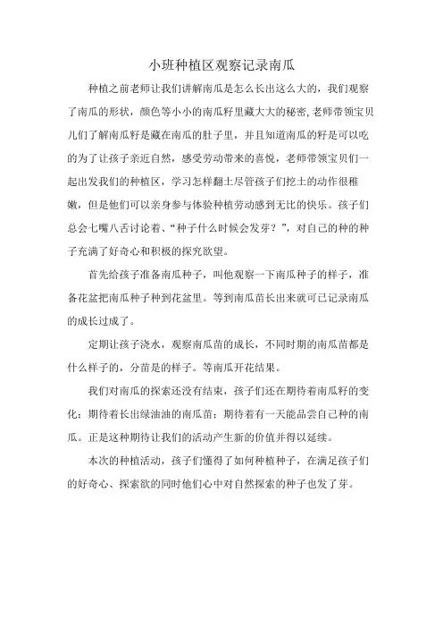 小班种植区观察记录南瓜