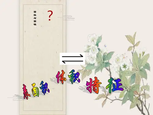 圆柱与圆锥整理复习