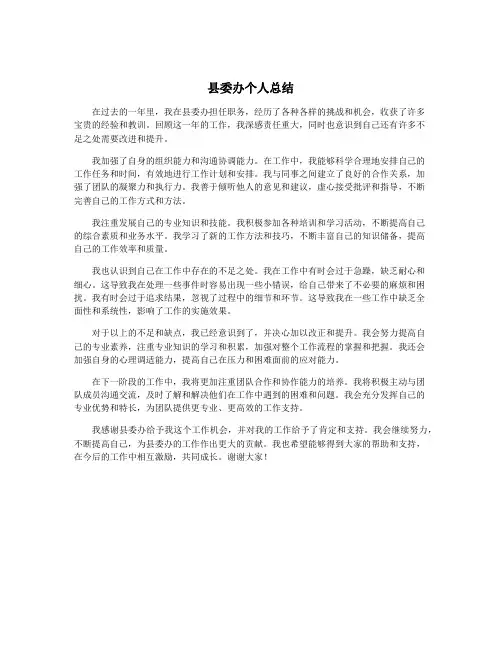 县委办个人总结