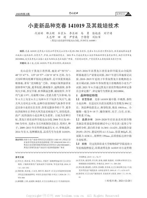 小麦新品种克春141019及其栽培技术