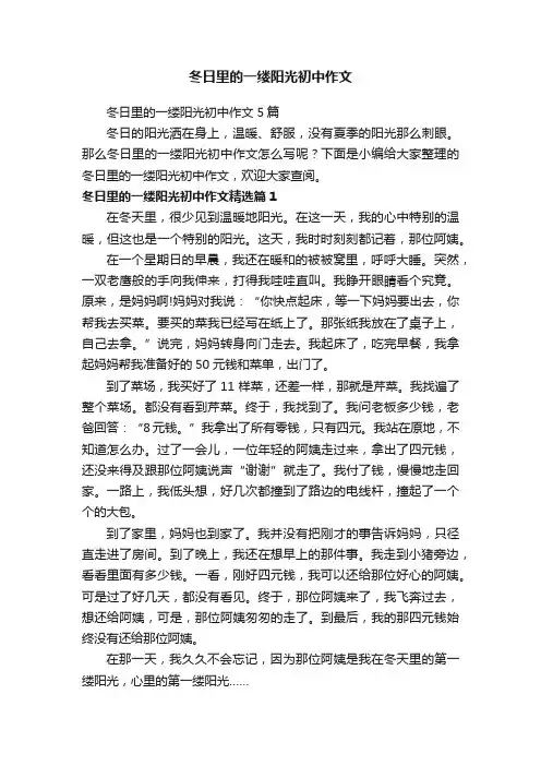 冬日里的一缕阳光初中作文